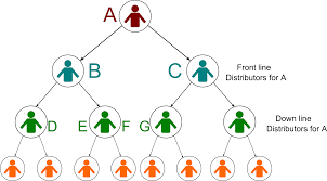 How Does Binary Mlm Work Kiran Chandrashekhar Medium