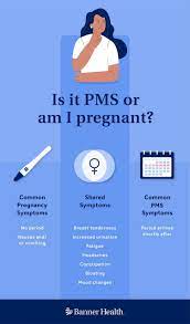 Pms Or Pregnant: How They're Different| Banner Health