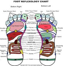 printable foot reflexology chart