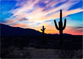 Последние твиты от bellhop diaries (@badbellhop). Is Moving To Phoenix Right For You A 2021 Guide Bellhop