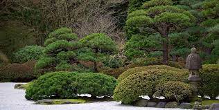 Japanese Gardens And Zen Gardens Il Nature