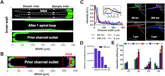 We did not find results for: Direct Isolation Of Circulating Extracellular Vesicles From Blood For Vascular Risk Profiling In Type 2 Diabetes Mellitus Lab On A Chip Rsc Publishing Doi 10 1039 D1lc00333j