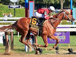 Breeders Cup Divisions Coming Into Focus Xpressbet