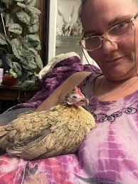 Introduction of New Serama Rooster Clyde