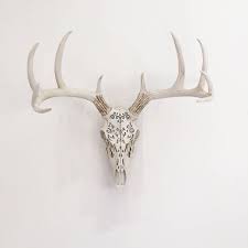 Any Color Deer Skull Wall Mount Faux Taxidermy Decorative Animal Skull 65 Liked On Polyvore Featur Deer Skulls Deer Skull Wall Mount Animal Skull Decor