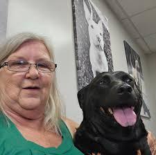 What dog food is best for Golden Retrievers with allergies?