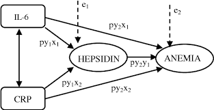 Role Of Hepcidin In Mechanism Of Anemia Chronic Disease Patients Semantic Scholar