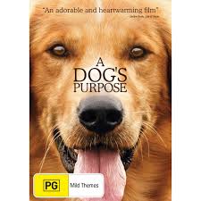 Documentary My Life As A Dog Netflix Puppy Good Dog Movies On Netflix My  Life As