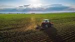 EXCLUSIVE: white farmer pay-out could