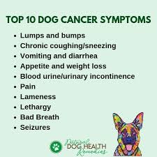 Most common symptoms anemia / lethargy / papules / poor appetite / weakness / weight loss. Symptoms Of Dog Cancer Be Aware Of These Signs