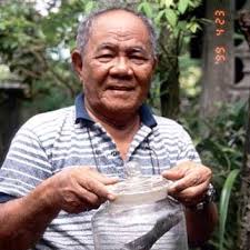 Mini-Büffel: Wenige Fossilien einer neuen Art