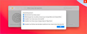 Face à la gronde, la firme américaine a rapidement apporté des correctifs à ce désagrément. Systeme Activez Ou Desactivez Les Mises A Jour Automatiques Sur Mac Iphone Et Ipad