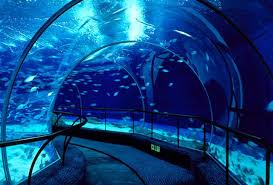 20 Of The Coolest Things Under The Sea Under The Ocean Ocean Aquarium Underwater City