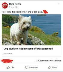 This Is The Saddest Thing I Ve Ever Seen 9gag