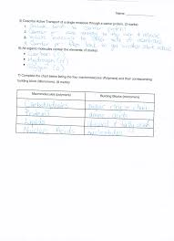 Definition and importance of karyotype test (karyotyping) in human. Convection Cells Gizmo Worksheet Answers Printable Worksheets And Activities For Teachers Parents Tutors And Homeschool Families
