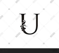 We did not find results for: Classic U Letter Logo Vector Photo Free Trial Bigstock
