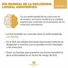 Las enfermedades hereditarias son aquel conjunto de enfermedades genéticas cuya característica principal es su supervivencia de generación en generación, transmitiéndose de padres a hijos y así sucesivamente. Facebook
