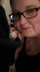 Cats showing affection after owner's return home