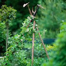 Deko idee für das wohnzimmer. Deko Ideen Im Garten Leichte Und Marchenhafte Vorschlage