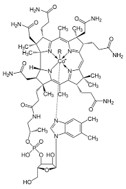 Elevated homocysteine levels in blood are a risk factor for (more information). Vitamin B Cobalamin Chemistry Libretexts