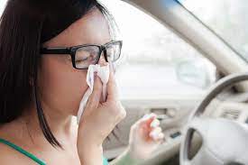 Driving With Hay Fever Is As Dangerous As Drink Driving Ecarf
