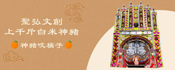 為什麼神豬咬橘子？ - 聖弘文創