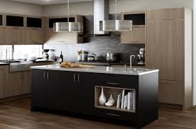 plain sight with appliance panels