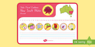 A different design, showing the southern cross in gold stars below the royal crown, appeared on the flag of the governor. Australian States Floral Emblem New South Wales Desk Mat