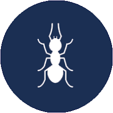 For more information, please log in. Raleigh Pest Control Exterminator Hometeam Pest Defense