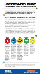 Amphibians and insects are inactive, some mammals are hibernating, and many birds fly south. Homeowners Guide To Identifying Animal Noises In Your Home Imgur