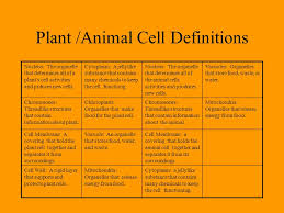 They have a distinct nucleus with all. Cells Simple Organisms Such As Bacteria Are Single Cell Plants And Animals Are Made Up Of Many Cells Each Kind Of Cell Has A Particular Function Ppt Download