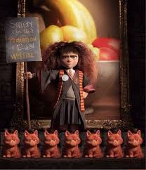 It S S P E W Stands For The Society For The Promotion Of Elfish Welfare Never Heard Of I Harry Potter Obsession Harry Potter Love Harry Potter Funny