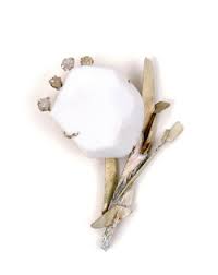 Bildergebnis für Kristiina Laurits