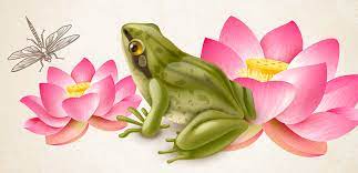 Visele cu broaste pot fi. Ce InseamnÄƒ Cand Visezi BroaÈ™te SemnificaÈ›ia DicÈ›ionar De Vise