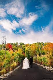 Helping independent photographers make more money. Taylor Jackson Photography Facebook