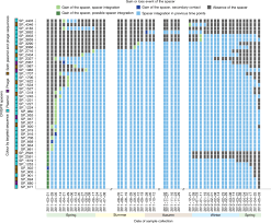 Check spelling or type a new query. Roles Of Bacteriophages Plasmids And Crispr Immunity In Microbial Community Dynamics Revealed Using Time Series Integrated Meta Omics Nature Microbiology