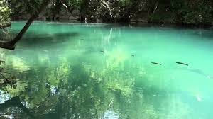 And join one of thousands of communities. Espirito Da Natureza Sons Da Natureza Sons De Passaros Relaxamento Meditacao Natureza Meditacao Relaxamento