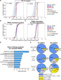 Apabila sekolah asal bukan penyelenggara sks maka nilai pada rapor akan dikonversi kedalam sks dan siap untuk mengikuti matrikulasi; The Influenza A Virus Endoribonuclease Pa X Usurps Host Mrna Processing Machinery To Limit Host Gene Expression Biorxiv