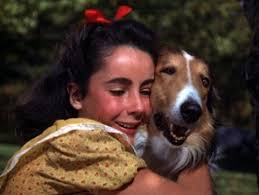 Pin On Elizabeth Taylor
