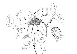 Why are comics colored and mangas not? Flower Nature Black Free Image On Pixabay