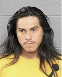 ᐅ Illinois Criminal Records 2009-2026