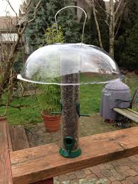 Bird Feeder Pole With Baffle Pin On Bird Feeding