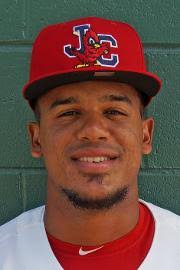 Brian Sánchez minor league baseball statistics