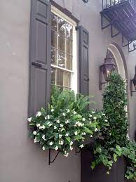 For window boxes you want to use a combination of tall flowers in the back, dense flowers in the middle, and flowering vines hanging in the front. Pin On Home Decor