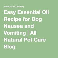 Easy Essential Oil Recipe For Dog Nausea And Vomiting Essential Oils Dogs Essential Oils Upset Stomach Essential Oil Recipes