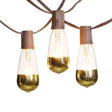 Choose from vintage edison bulb treatments, flexible rope lights, traditional mini lights or colored string lights. Gold Tip Outdoor Glass Edison String Lights 10ct At Home