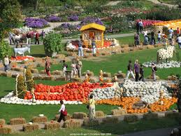 Pumpkin Festival In Ludwigsburg Germany Ludwigsburg Pumpkin Festival Germany Vacation