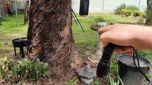 Volunteers from the friends of bella vista farm are available on open days to chat and answer any question about the farm and its history. A1 Pest Control Baulkham Hills Termite Inspections Rodent Treatment