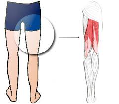 Pour affiner ses cuisses en courant ou en sautant et avoir des jambes fines et musclées 3 conditions sont indispensables. Que Faire Exercices D Assouplissement Lombalgie