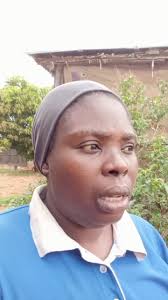 Organic brooding of chicks during this rainy season.🧑‍🌾, #chicken  #poultry